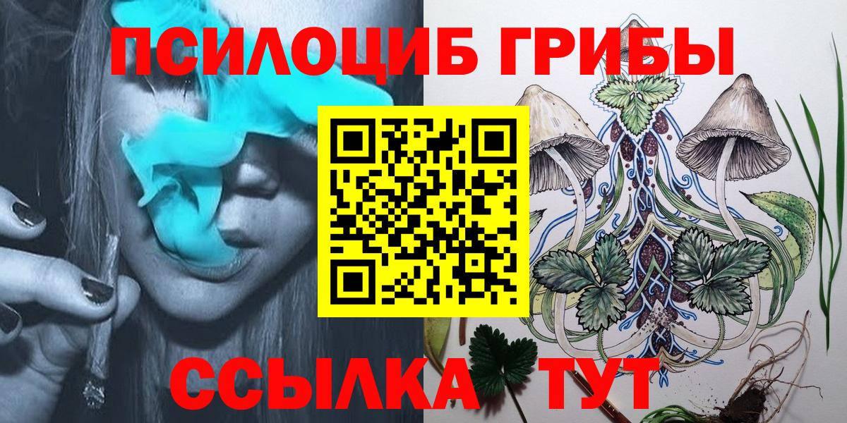 Партизанск  Псилоцибиновые грибы Magic Shrooms  Вход с VPN  Псилоцибиновые грибы GOLDEN TEACHER 